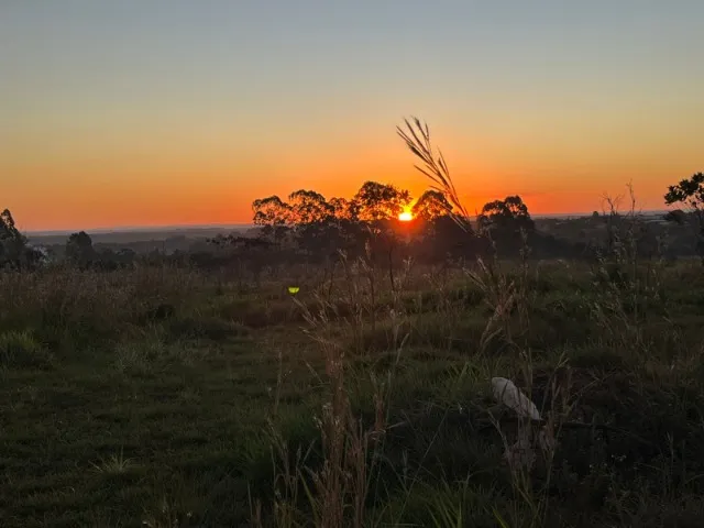 Oportunidade Imperdível! Terreno de 400m² com Vista Incrível na Ponte Alta Norte - Gama/DF