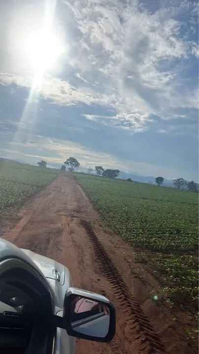 Fazenda 96 alqueires (464 hectares) - Foto 5