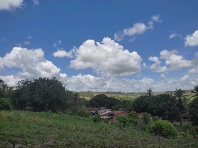Terrenos  - Foto 5