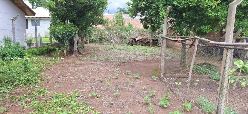Terreno 375m para Venda, Lagoa Pedra  Campo Magro / PR 2km do centro - Foto 10