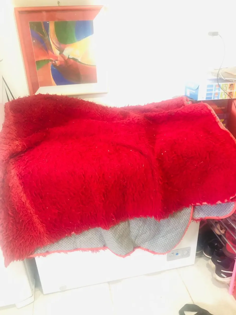Tapete vermelho felpudo