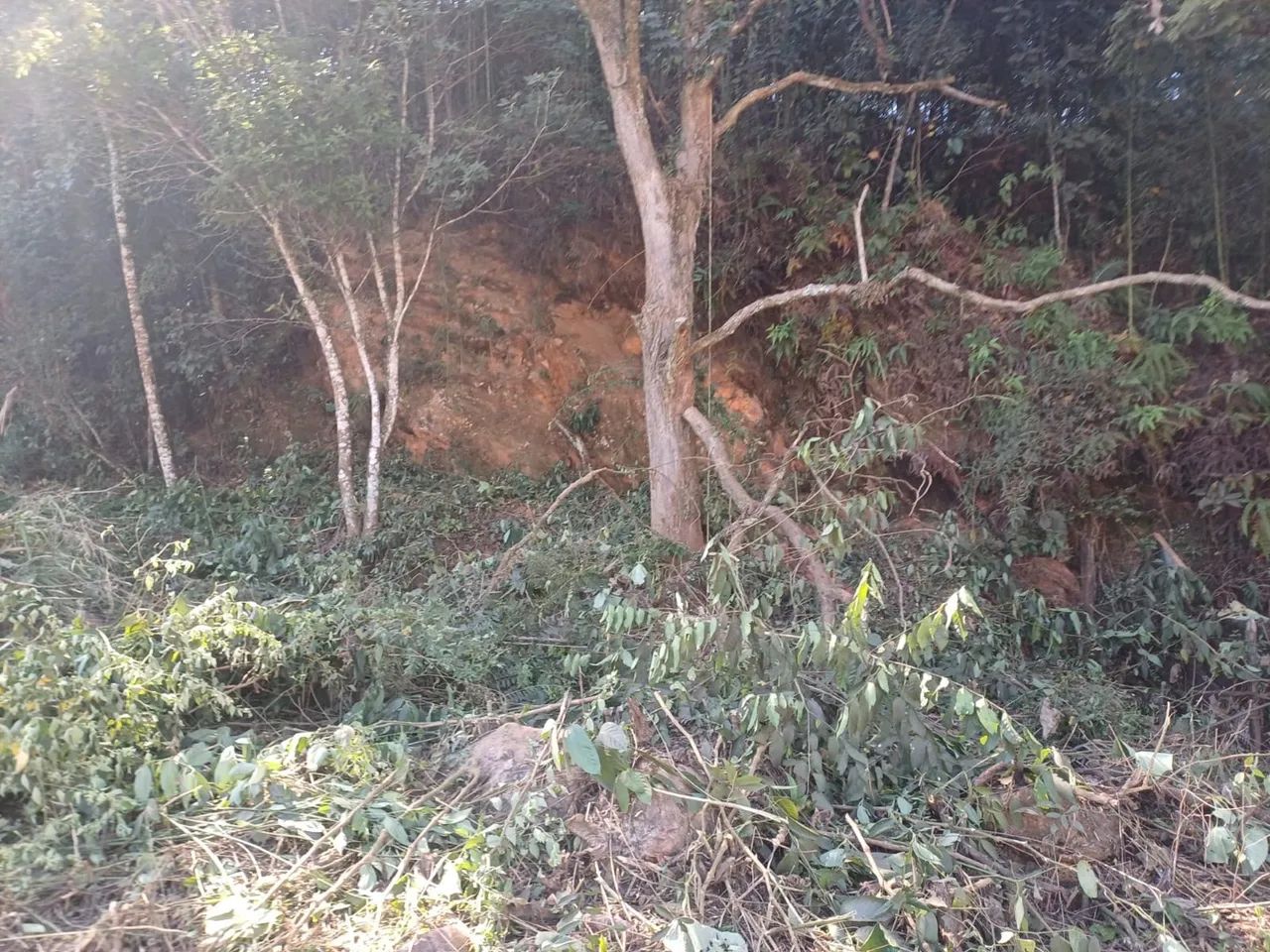 Terreno com área verde em local tranquilo