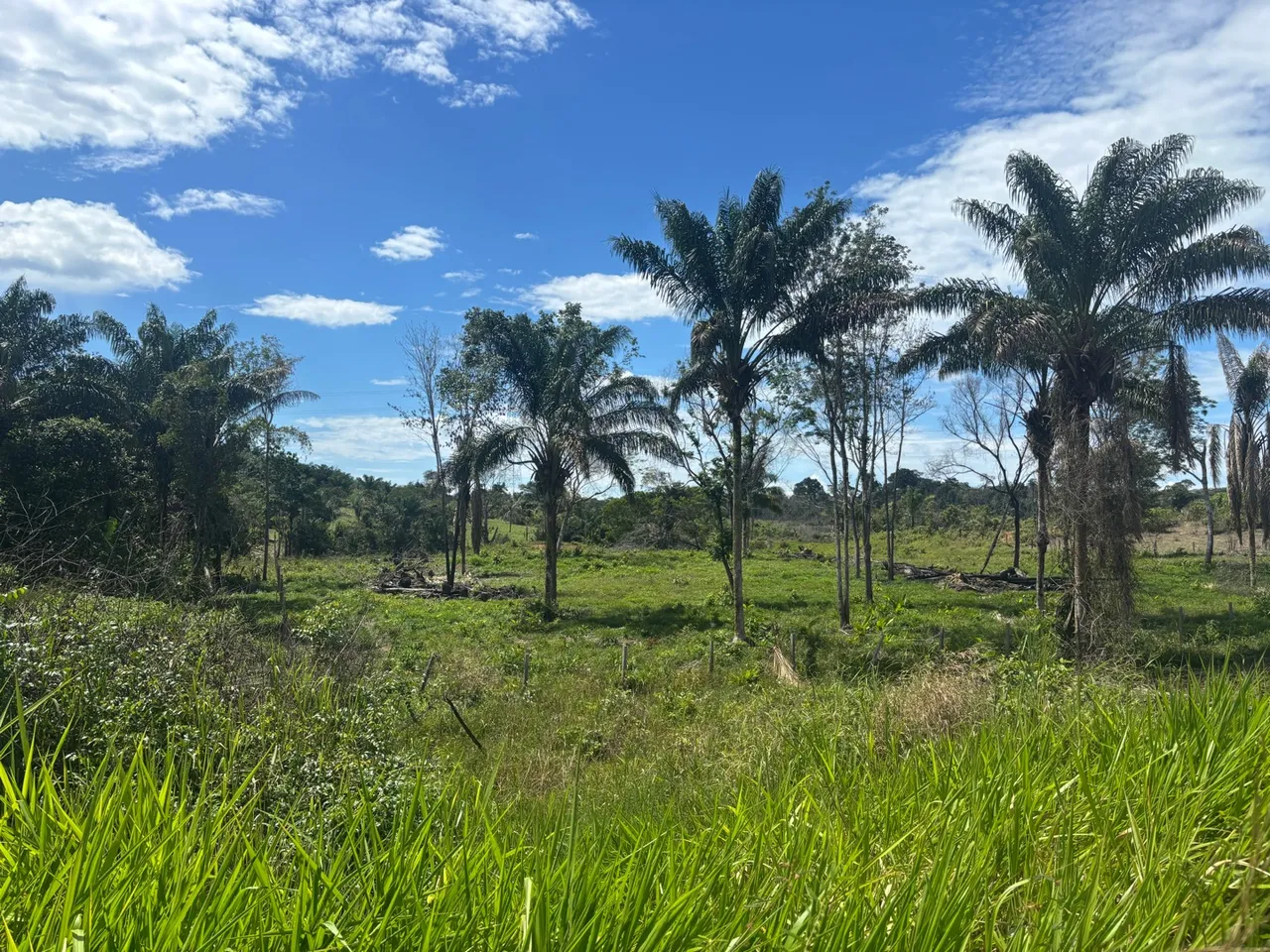Terreno em Rorainópolis