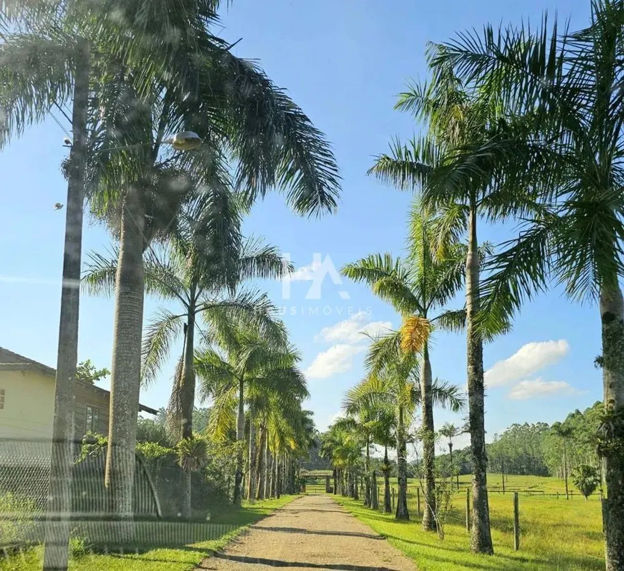 Fazenda à Venda/Tudo no Bairro Tibagi com 400 m² e 6 dormitórios/quartos - Foto 3