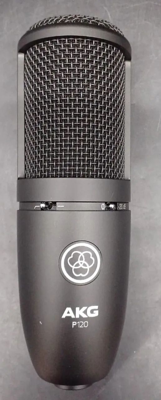 AKG P120