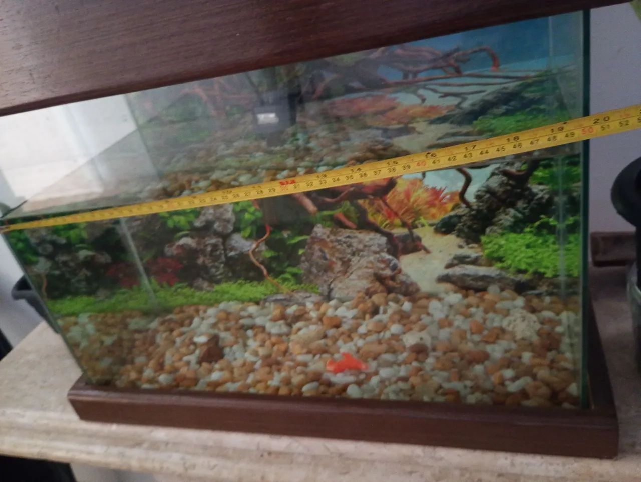 Aquário completo bomba e termostato 