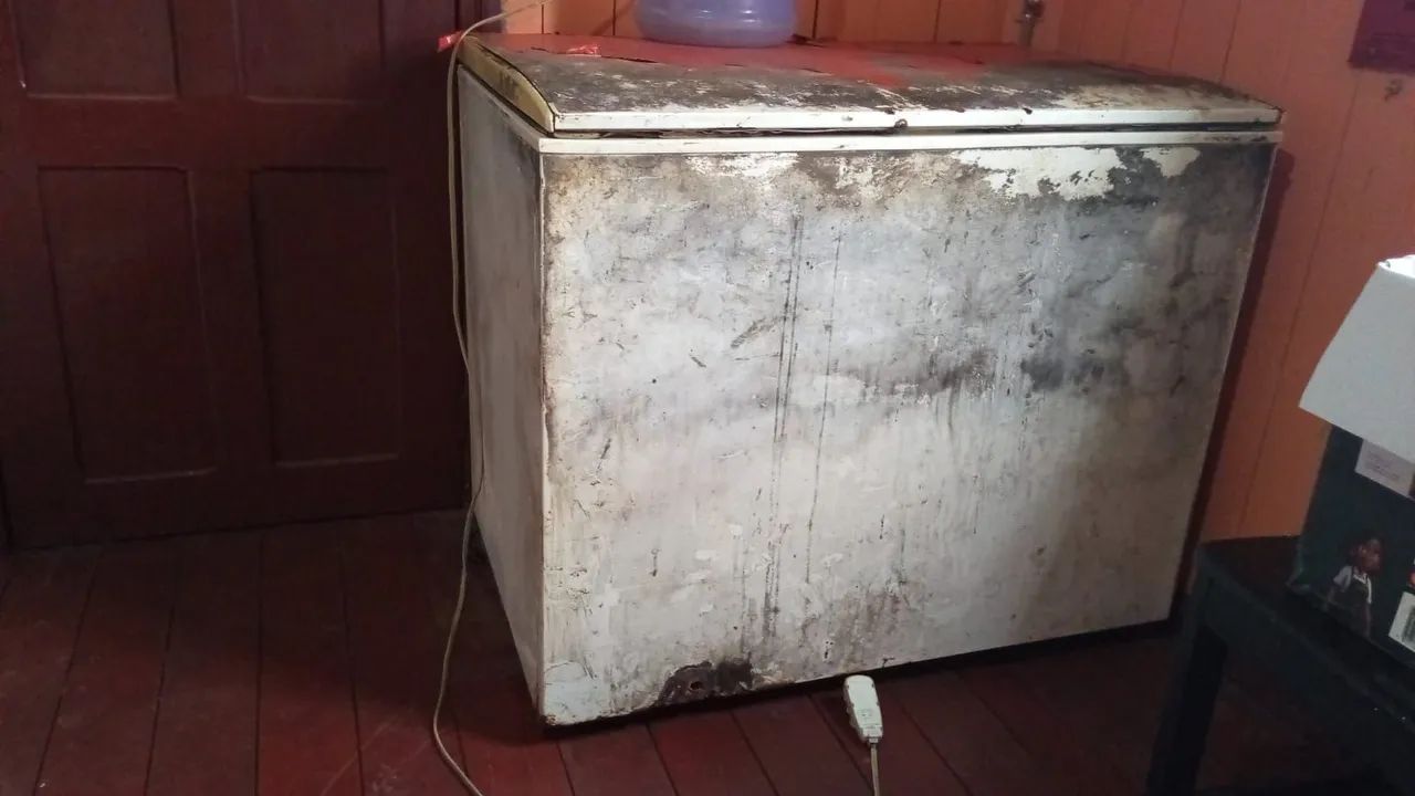 Freezer grande  - Foto 2