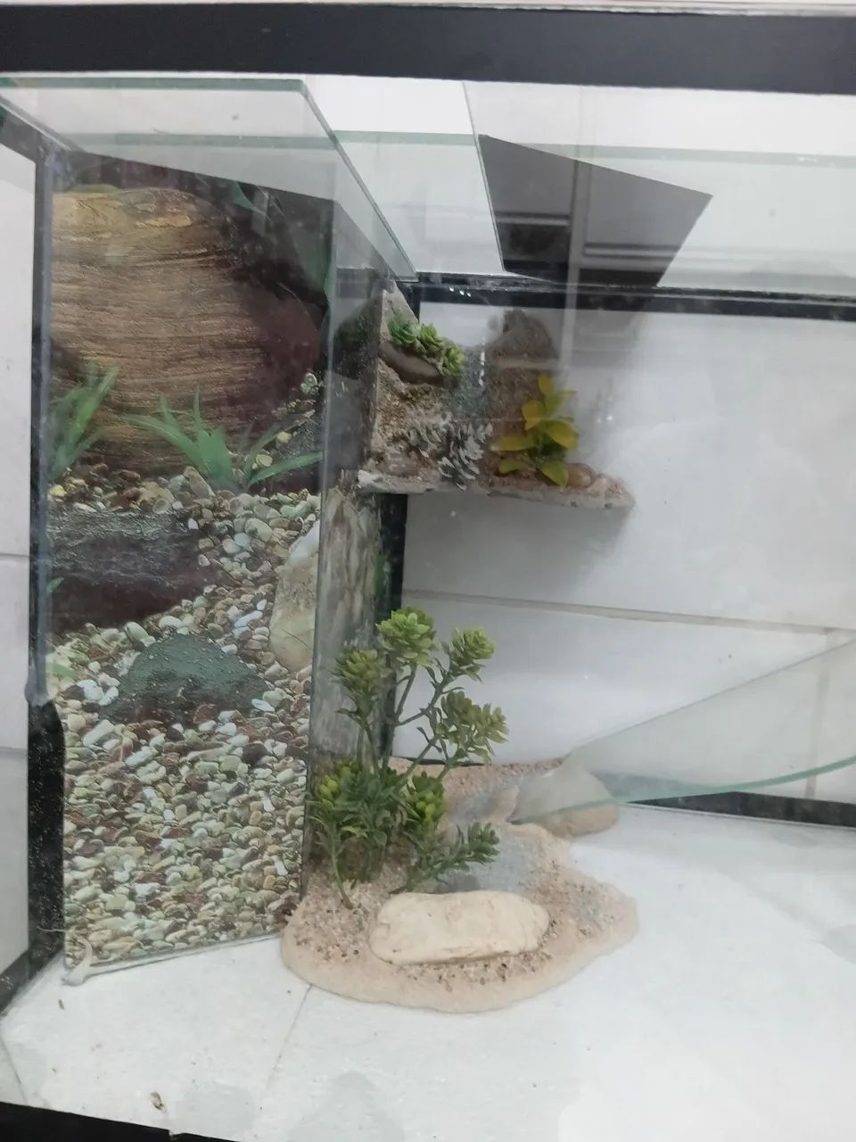 Aquaterrario - Foto 3