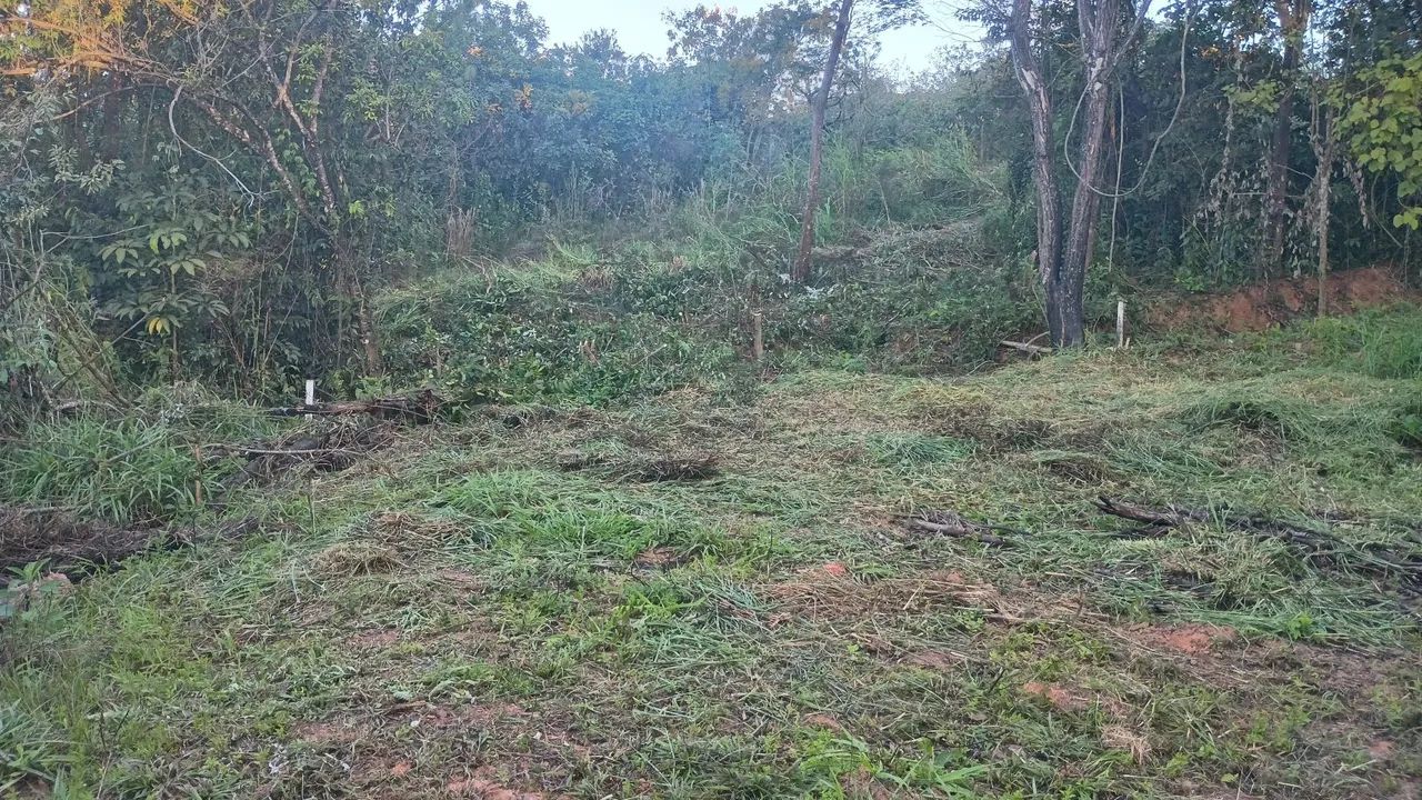 Lote em igarapé  - Foto 2