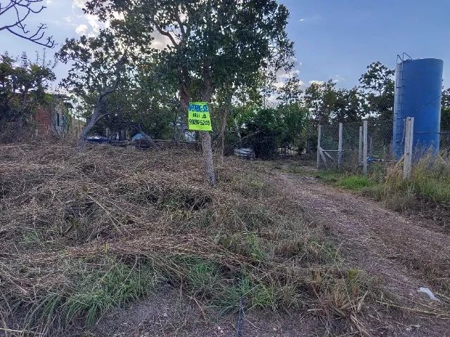 ? Lote à Venda - Excelente Localização e Ótima Oportunidade! - Foto 3