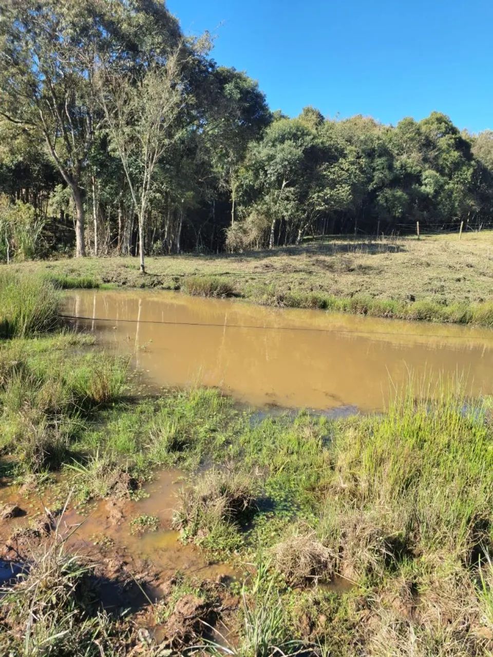 Terreno em Alfredo Wagner  - Foto 4