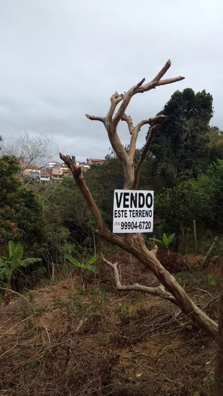 Vende-se Lote  - Foto 4