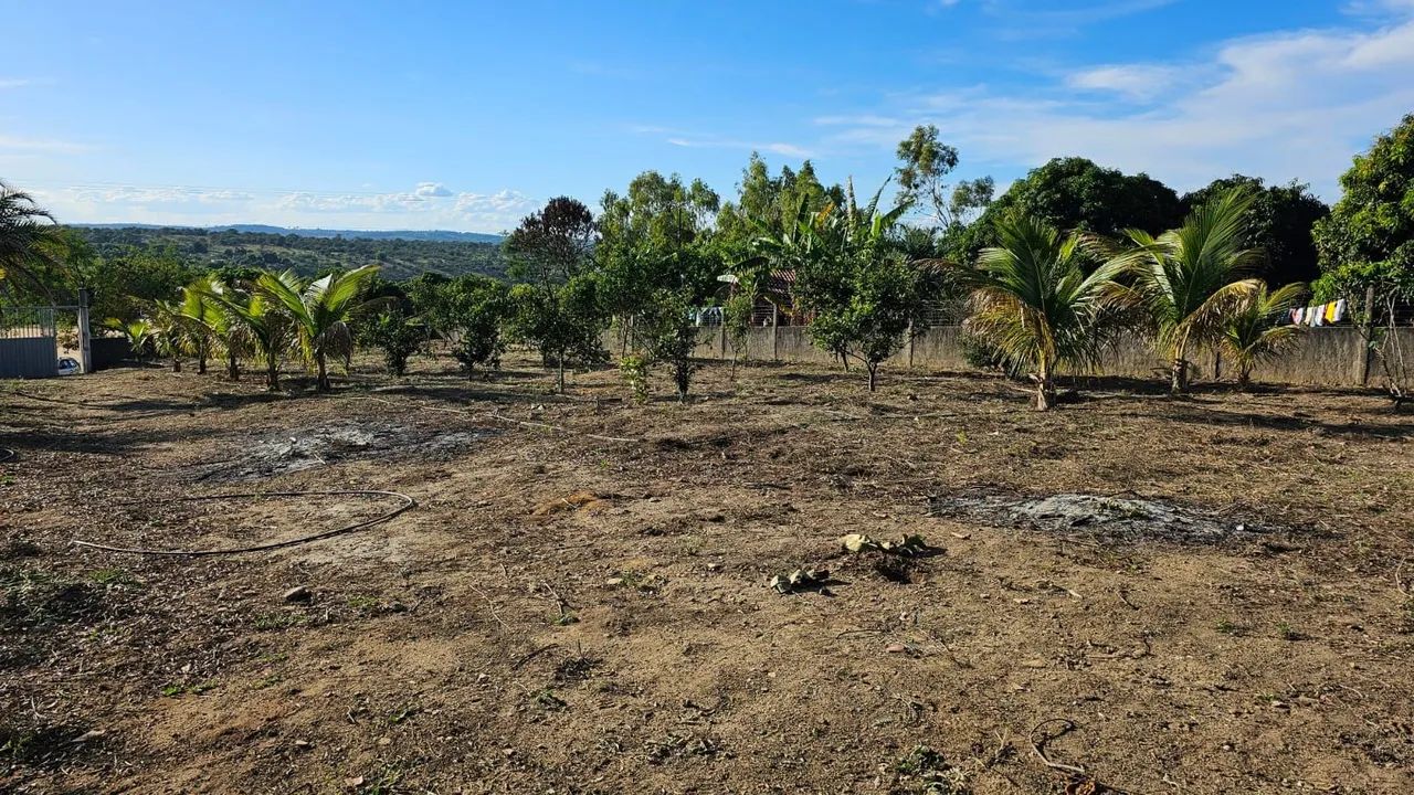 Chácara  - Foto 5