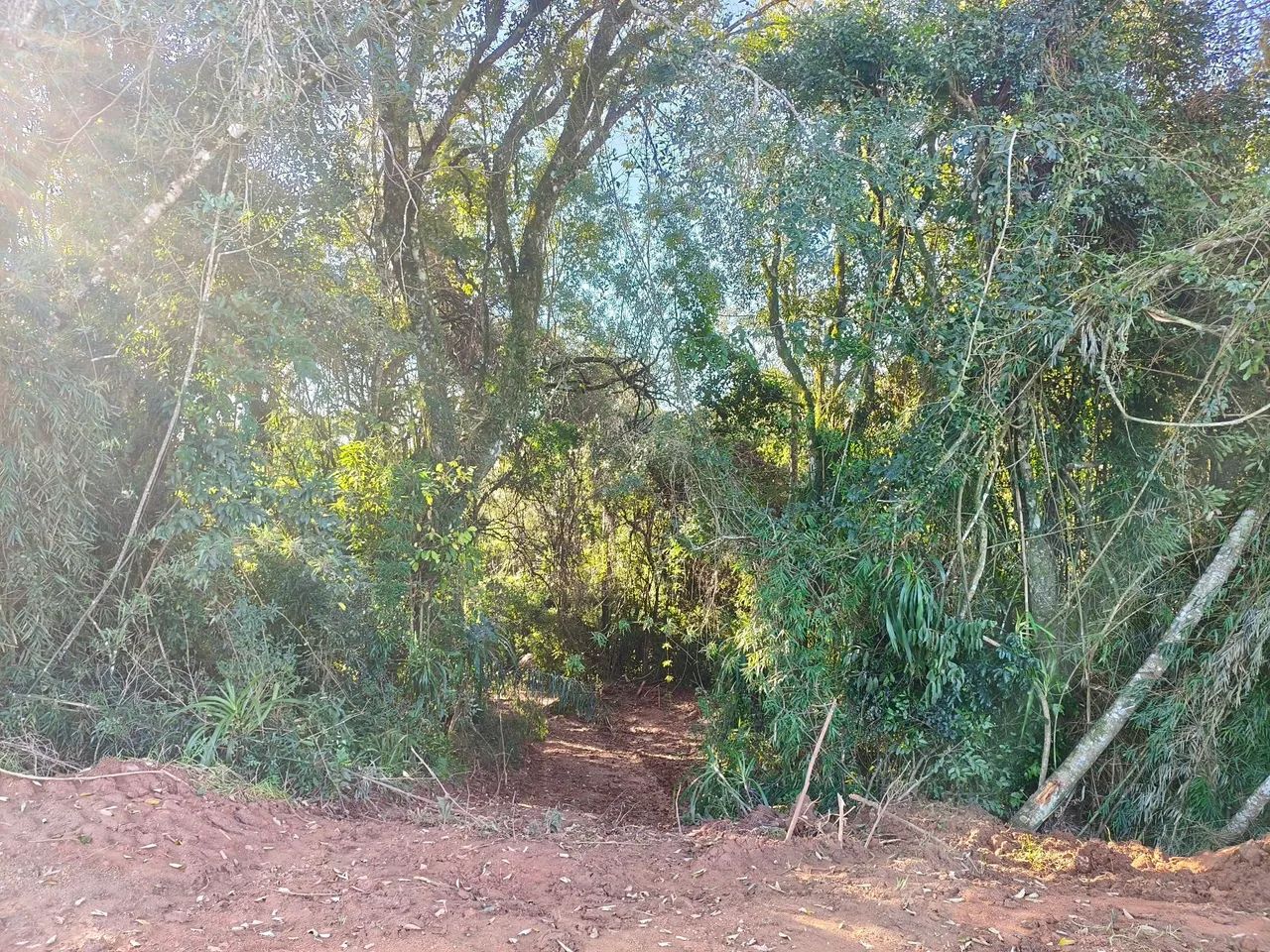Terreno  - Foto 3