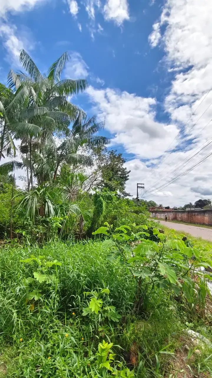 SÍTIO TERRENO EM MARITUBA RUA ALFREDO CALADO - Foto 3