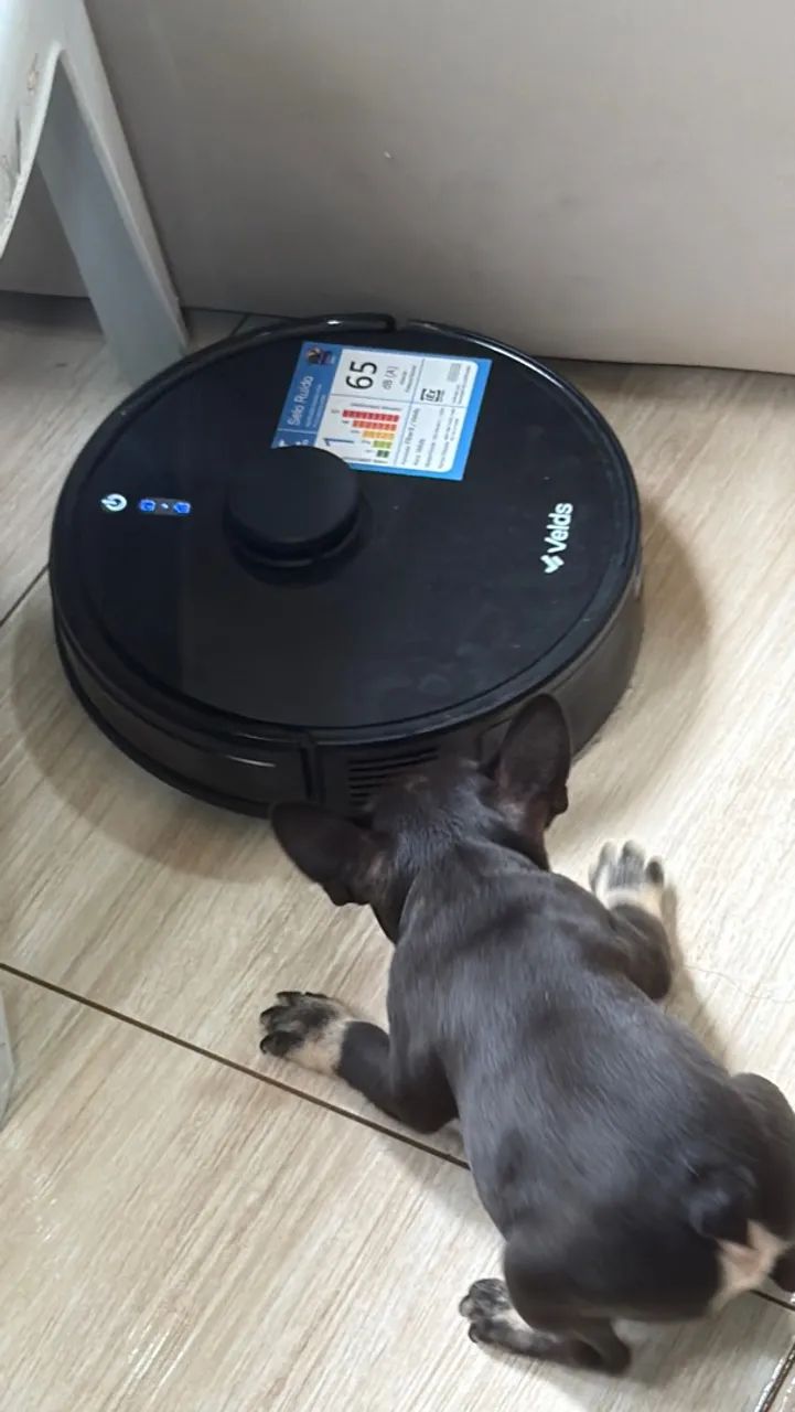 Robô  - Foto 2