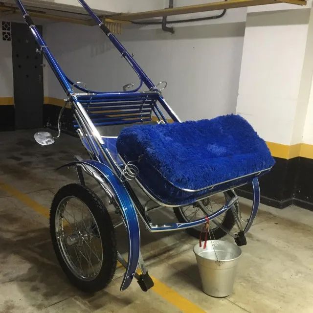 Charrete Aro 21