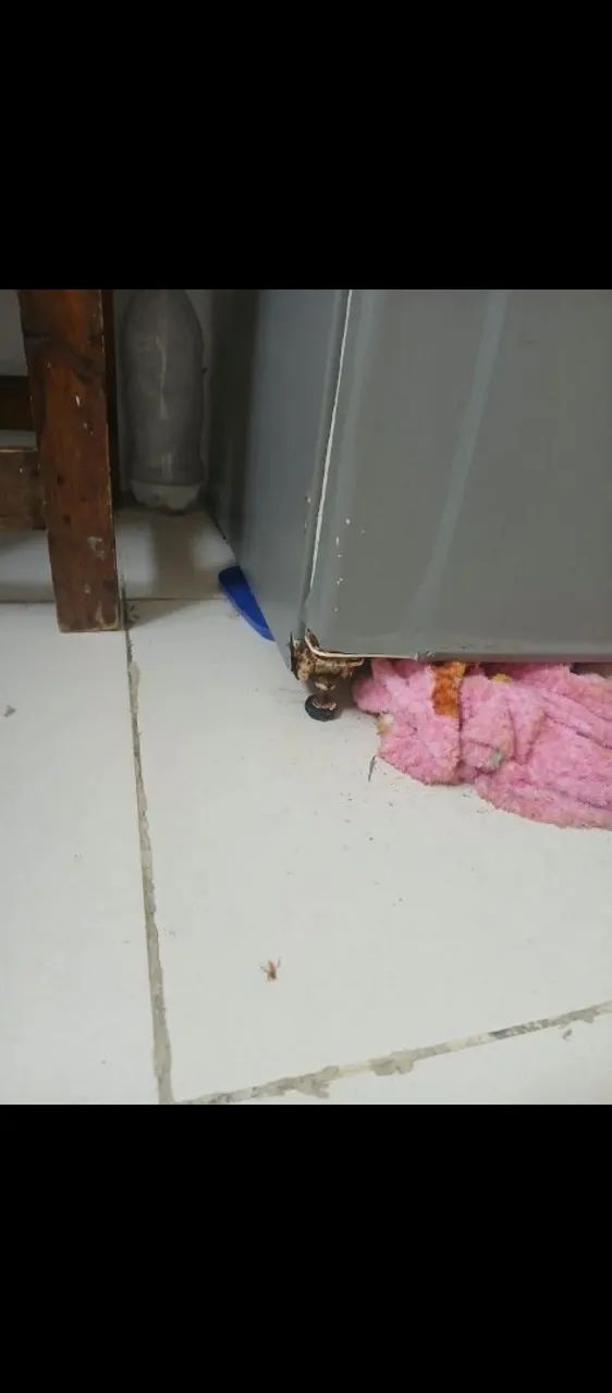 Eu quero vender para comprar outra  - Foto 2