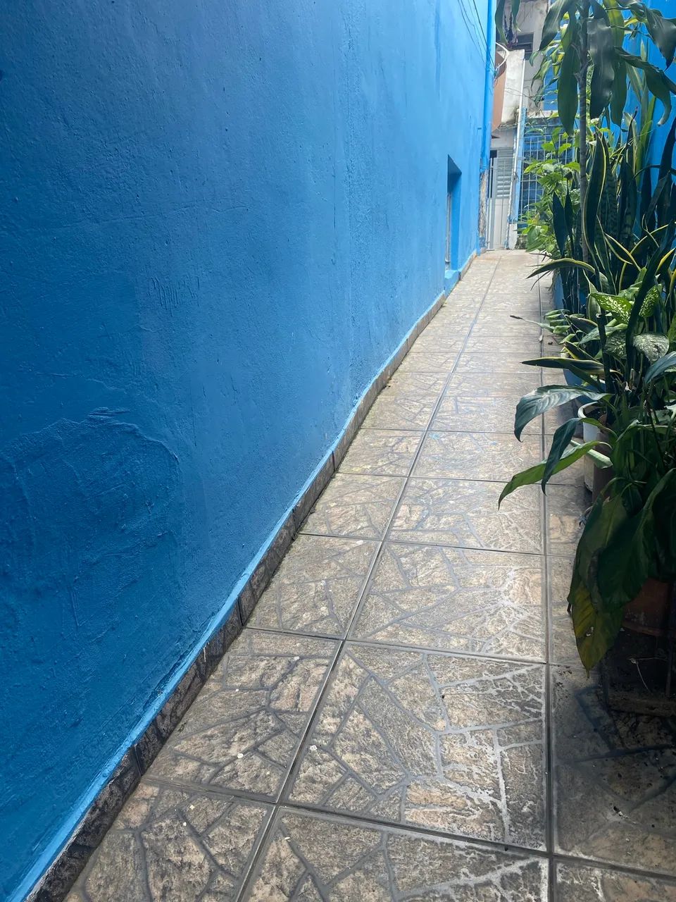 Foto - Guarulhos - Vila Augusta