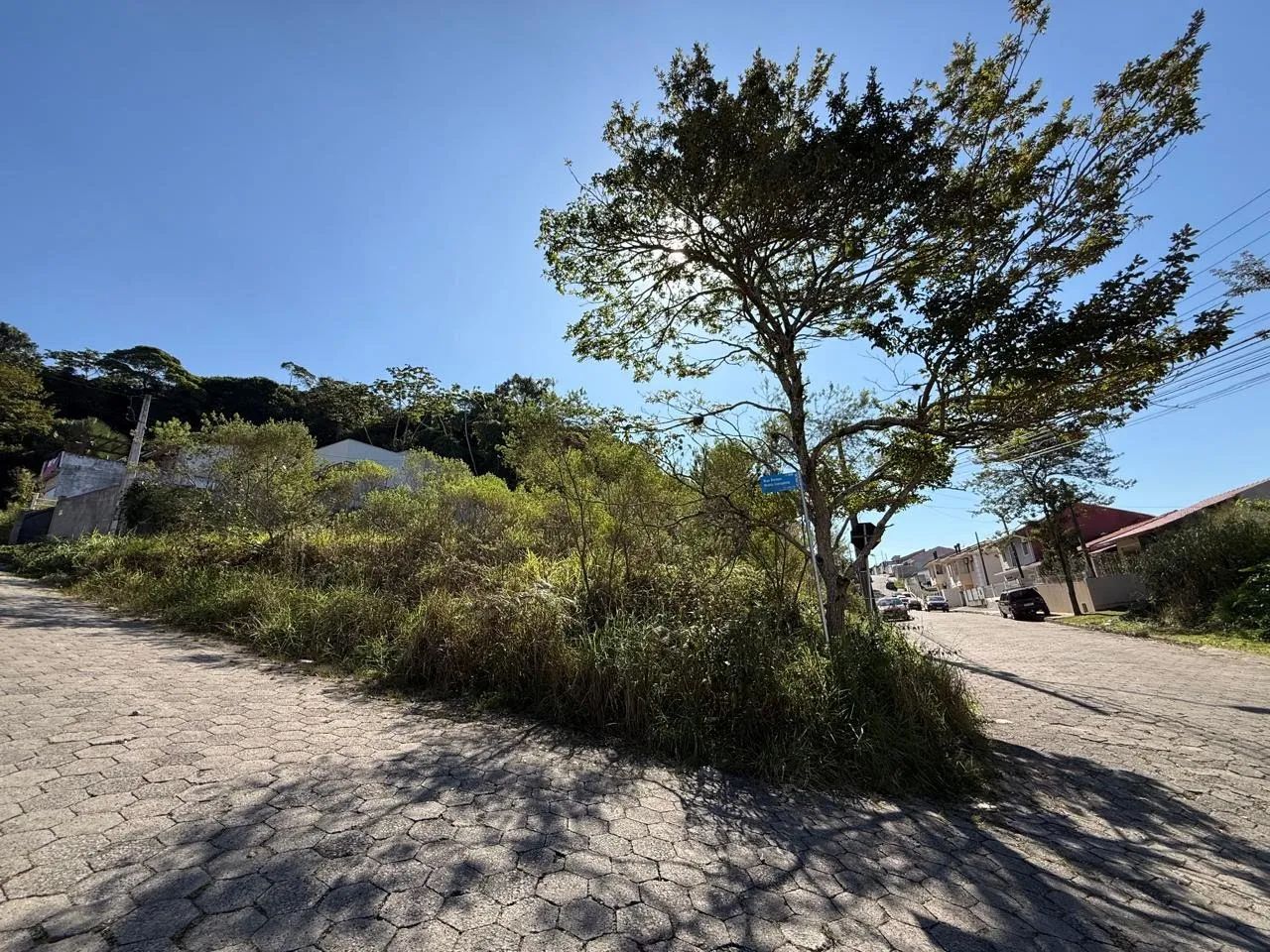 Lote / Terreno em Forquilhas - São José - Foto 2