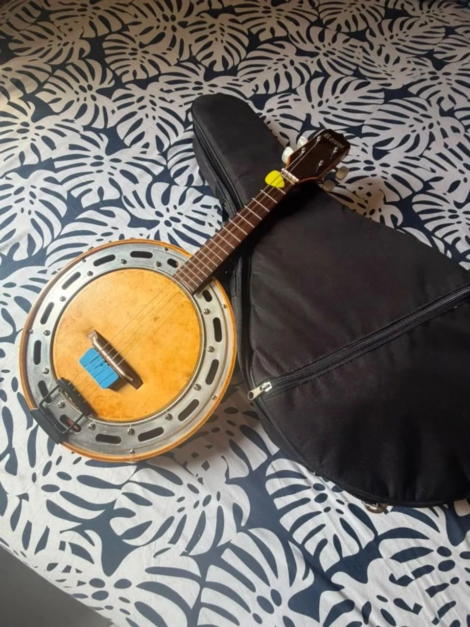 Banjo Rozini 