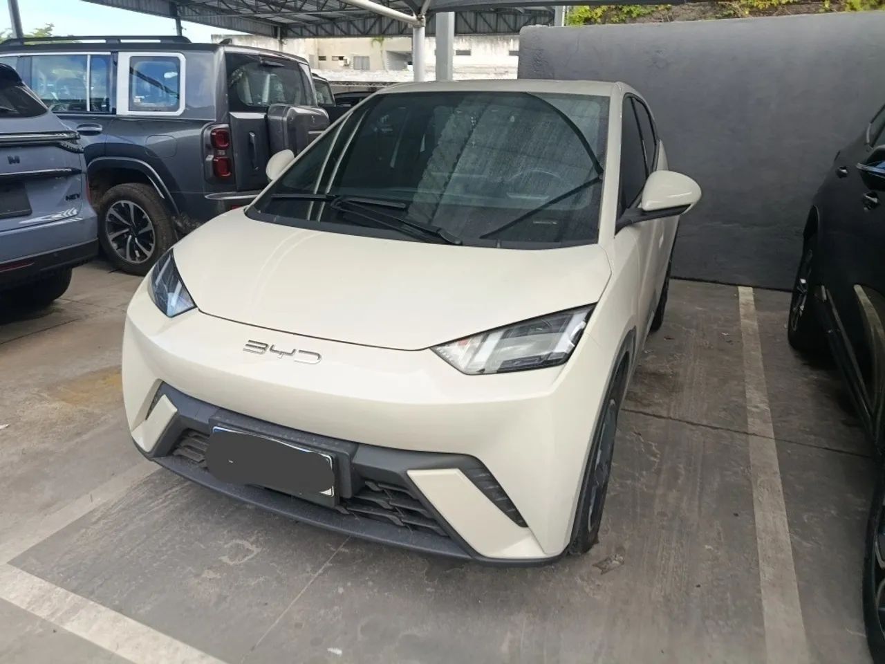 BYD Dolphin Mini (Elétrico) 2025 - Foto 2