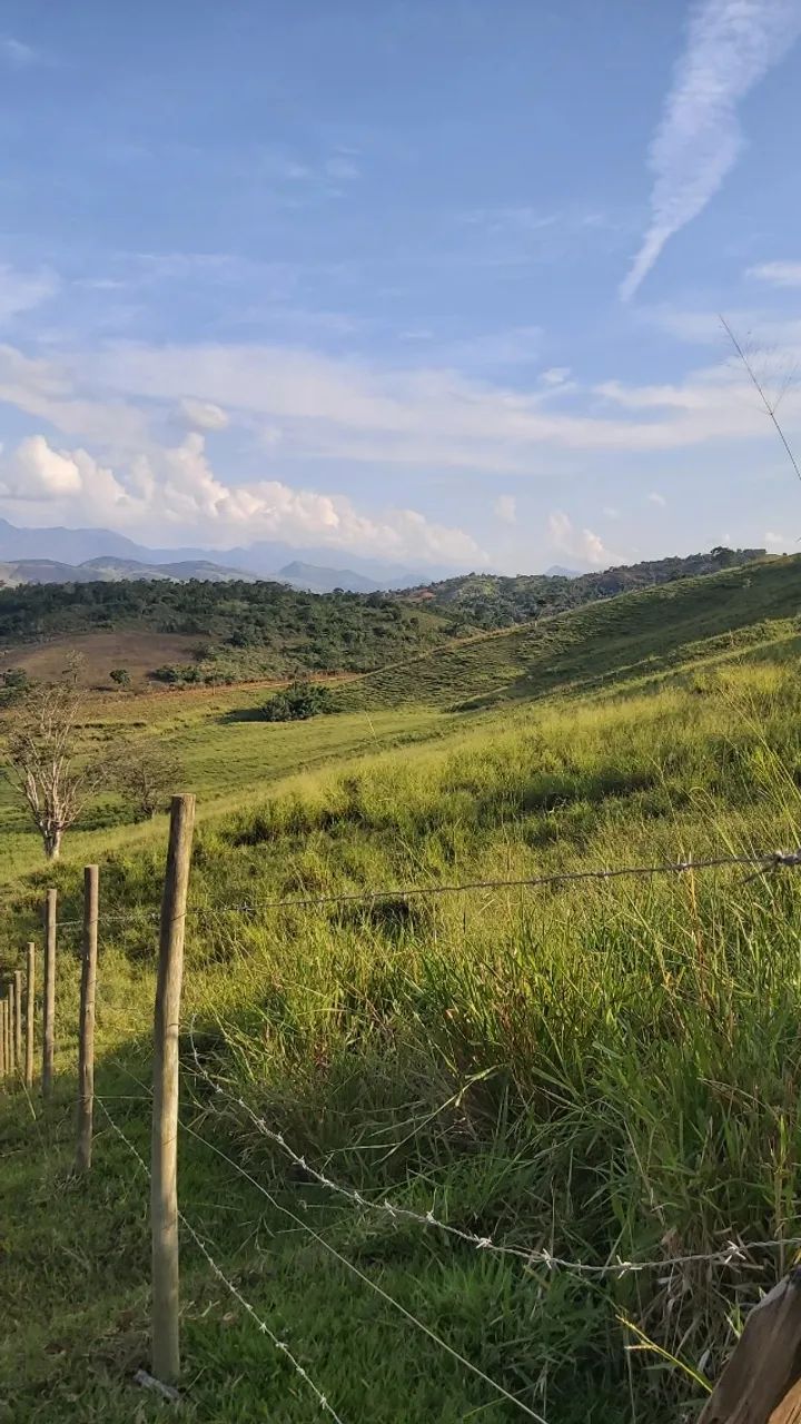 Vendo uma propriedade rural com 44 ha. - Foto 4