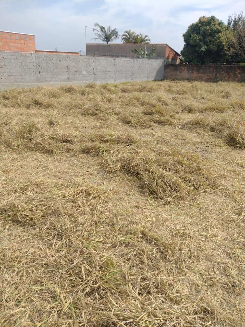 Terreno plano com boa localização  - Foto 4