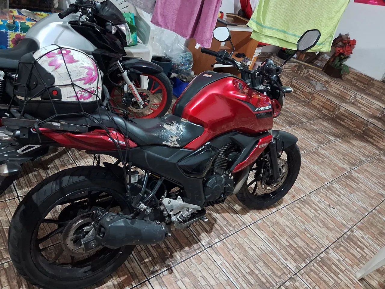 Fz15