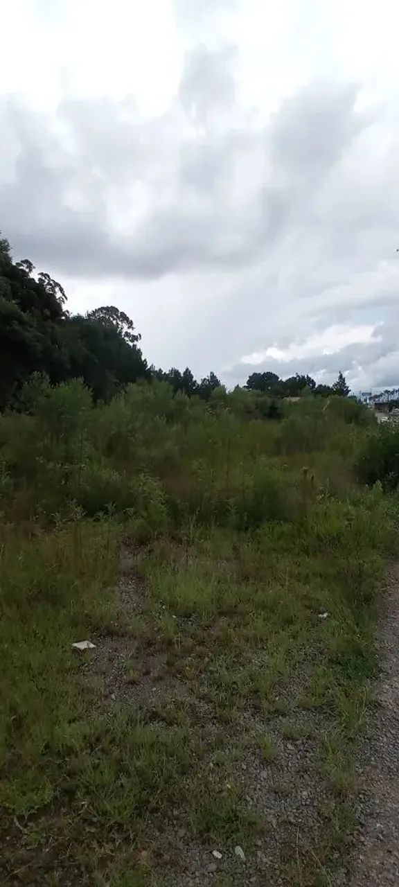 CAXIAS DO SUL - Terreno Padrão - FORQUETA - Foto 6