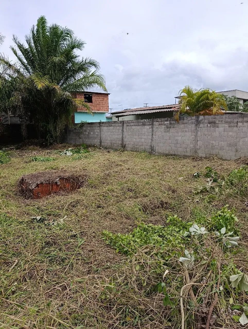  Terreno em Ilhéus todo Murado - Foto 4
