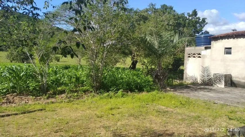 Terreno, Sítio - Foto 3