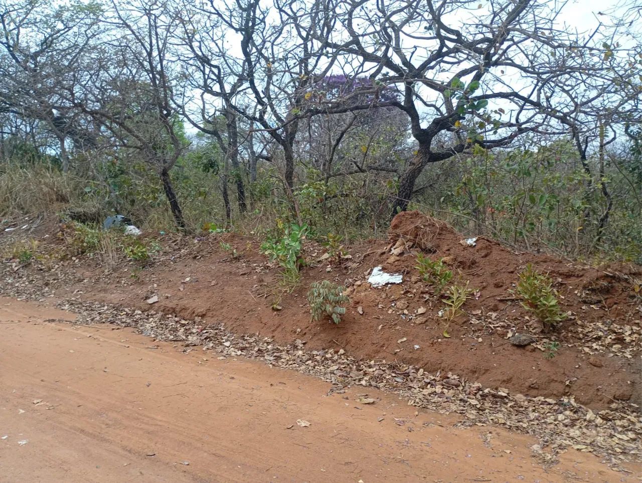 Lote em Três Marias  - Foto 2