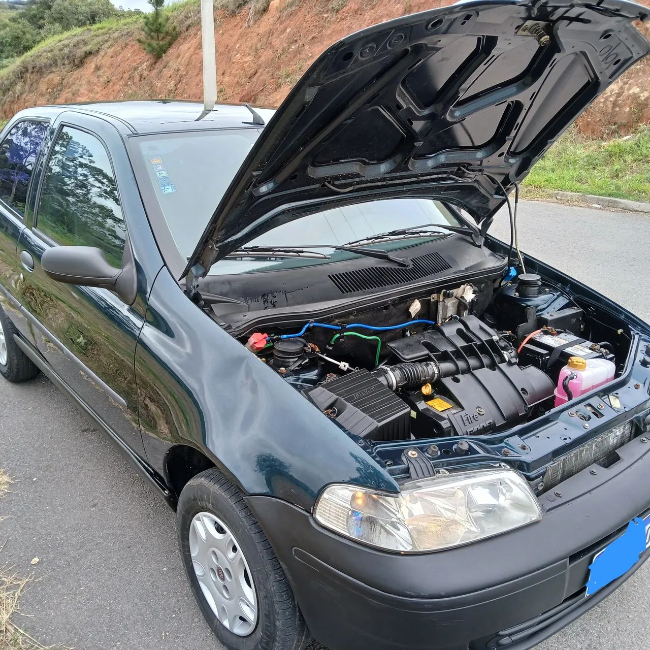 Fiat Palio ELX 1.0/ 1.0 Fire Flex 8V 2P (álcool) 2005