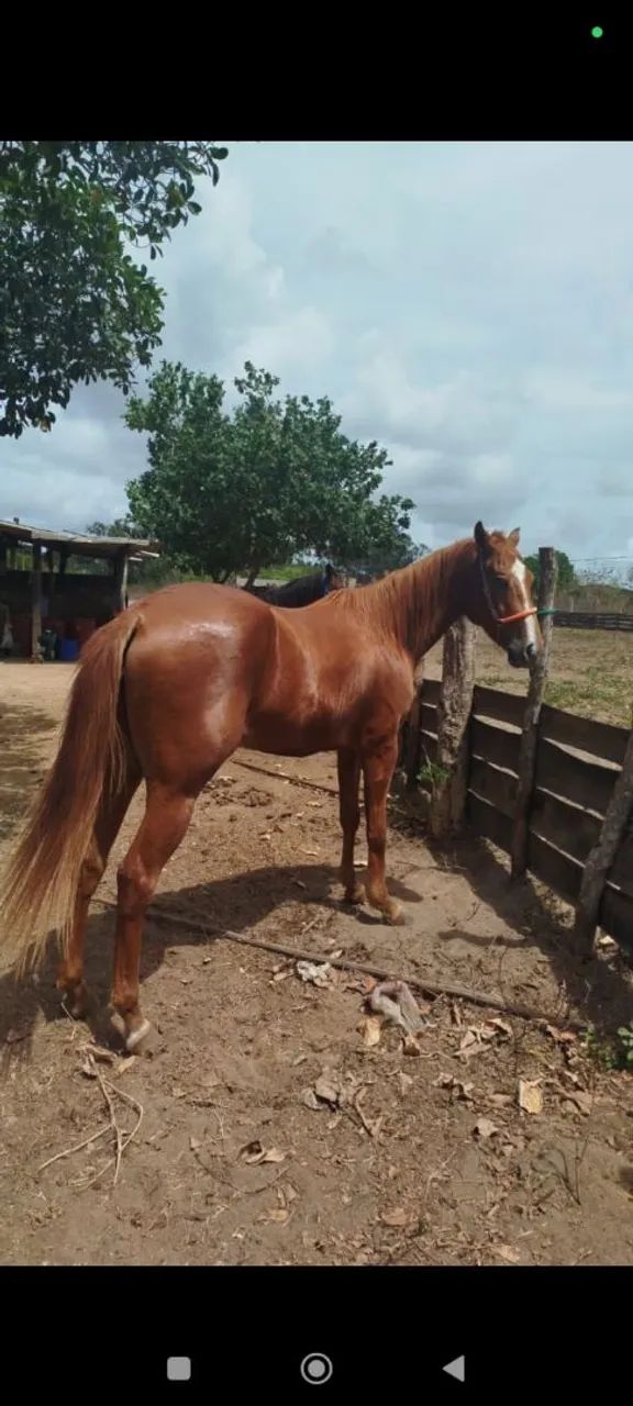 VENDO - Foto 2