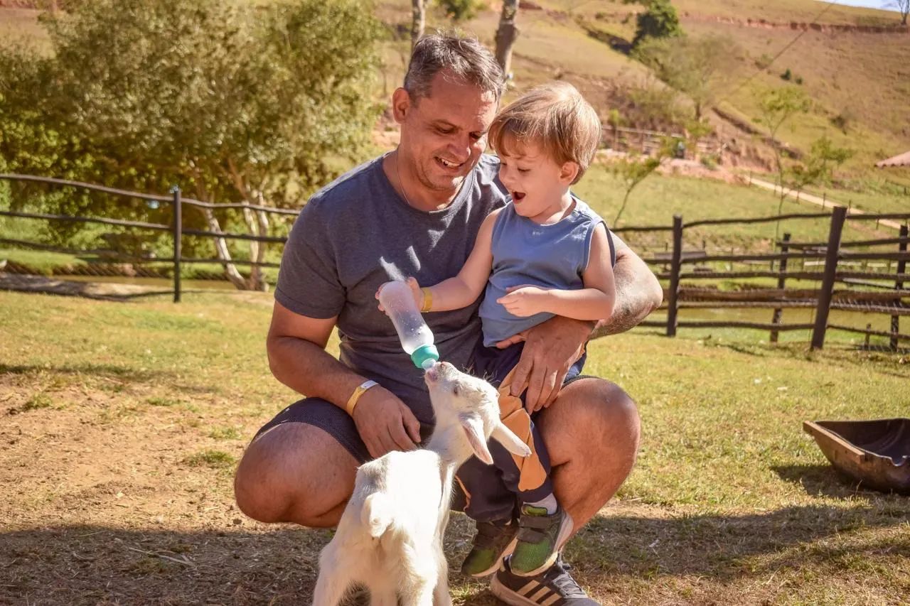 Cabrito Sannen  - Foto 2