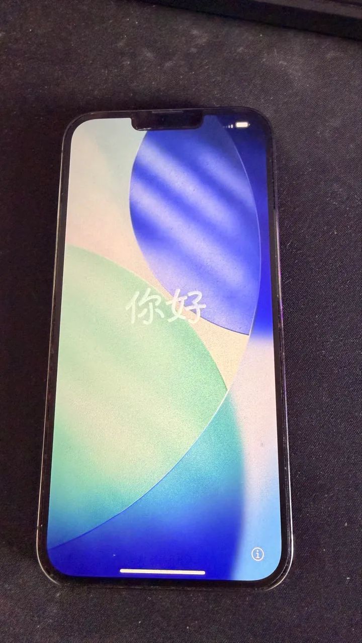 iPhone 13 Pro Max 256GB
