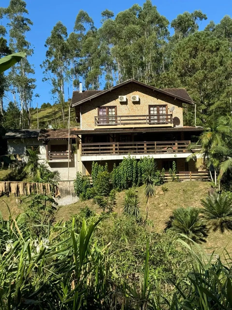Sítio com 6 Hectares em Nova Trento - Foto 2