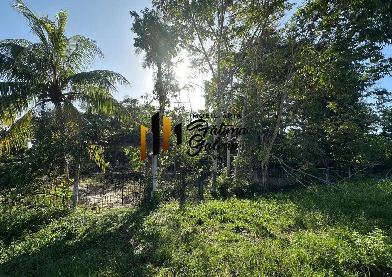 Vendo Sítio em Mosqueiro/Carananduba - Foto 3