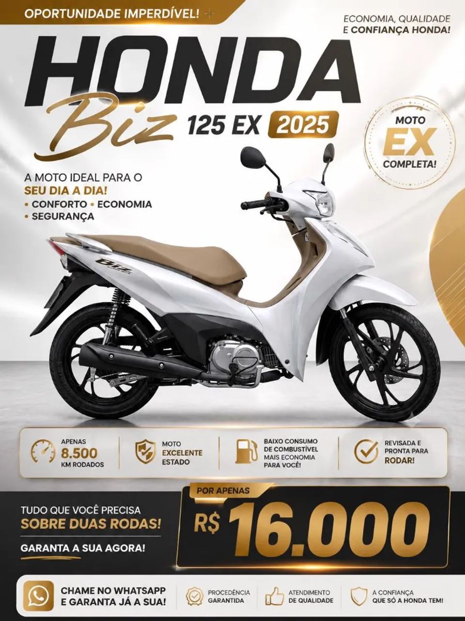 Modelo Flex Único Dono 