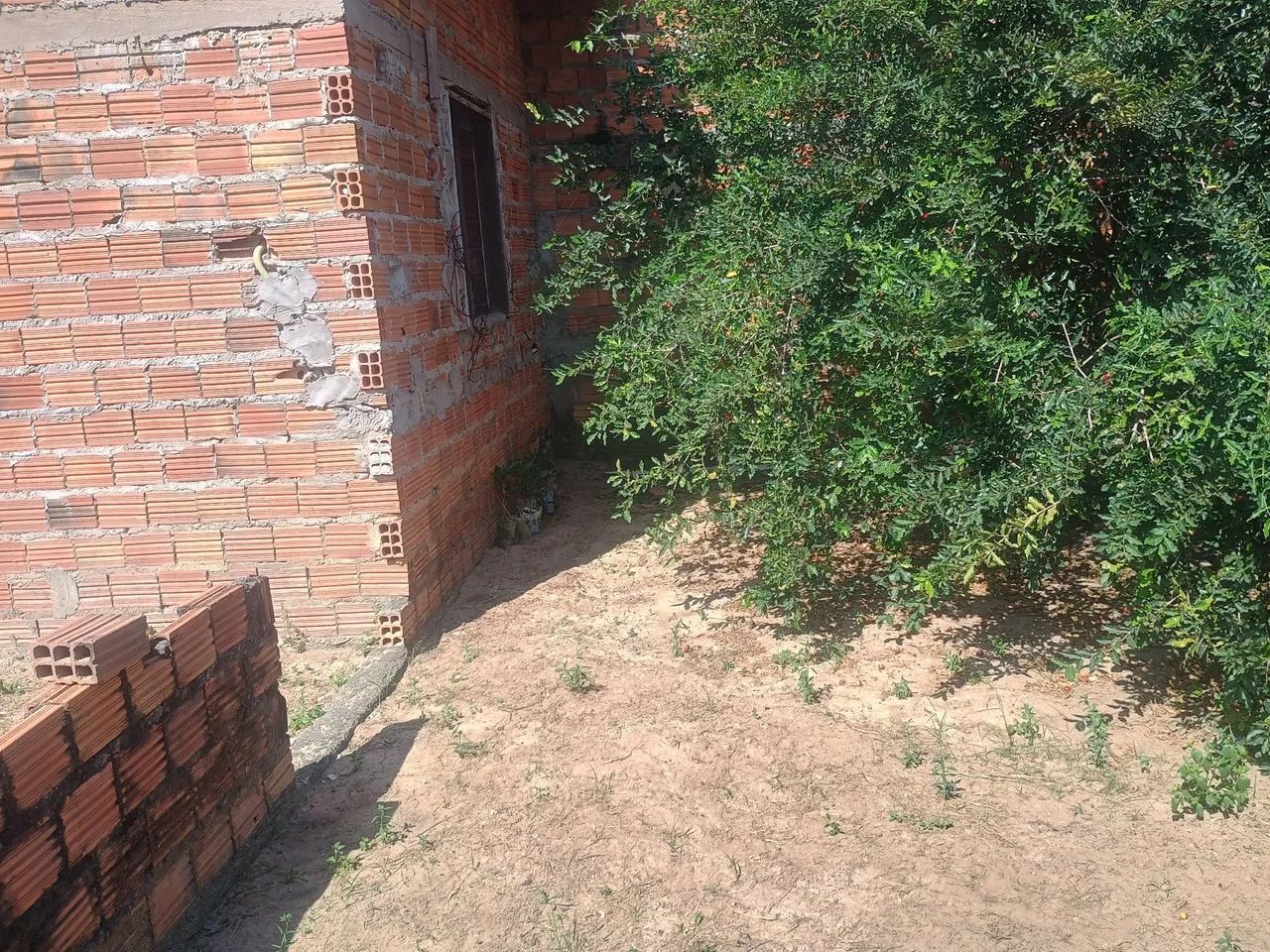 Terreno no cidade verde - Foto 4