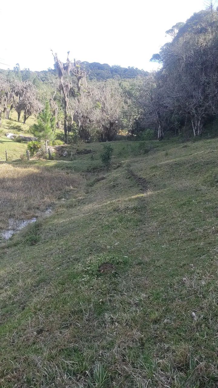 Terreno plano 2 ectares, muita água  - Foto 3