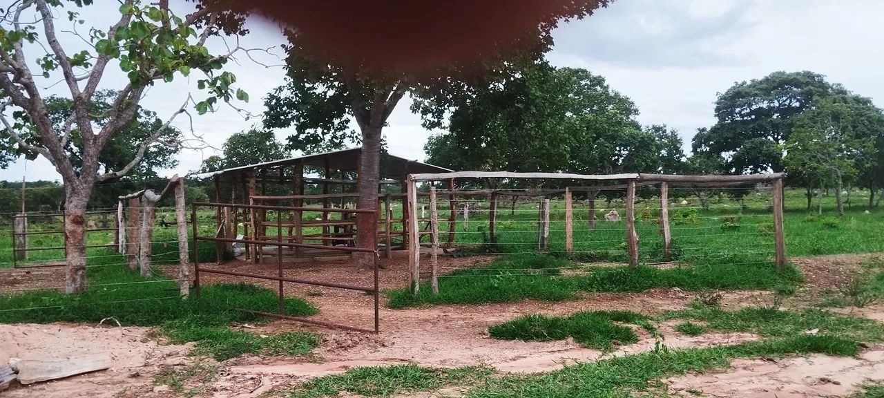 Ótima oportunidade. Sítio excelente  - Foto 3