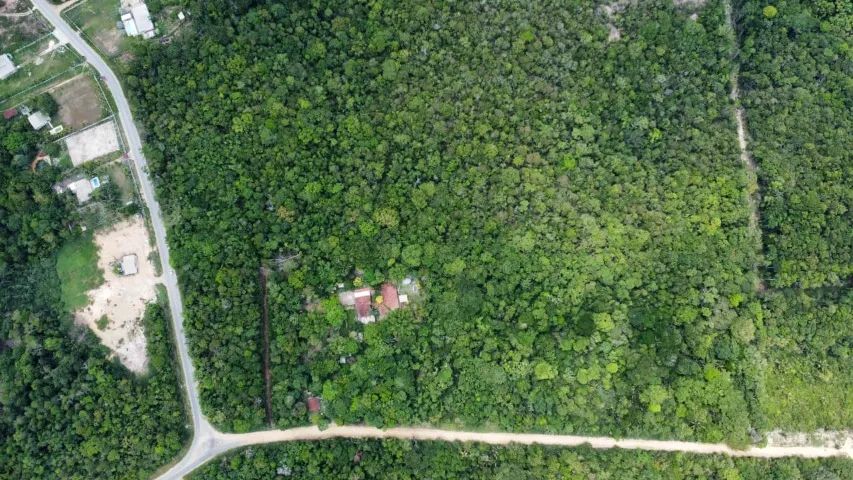 Vendo Terreno na BR-174 - Km 2 - Manaus/AM - Foto 6