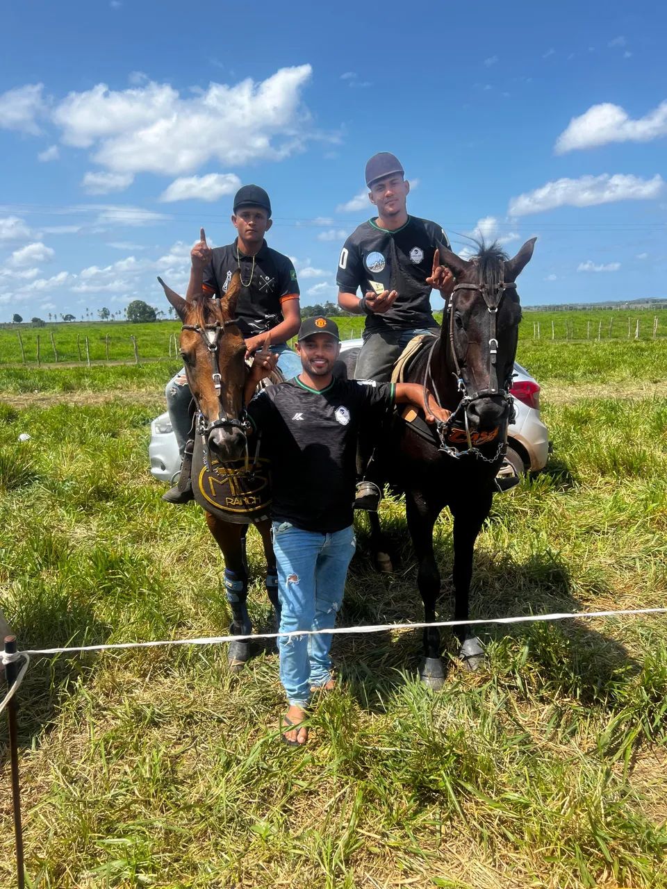 Vendo cavalo Quarto de Milha de vaquejada - Foto 5