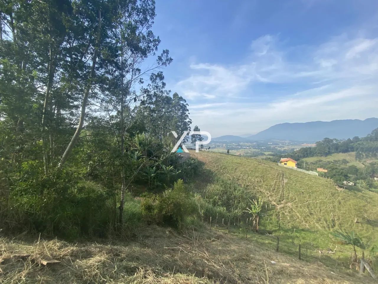 Terreno Santo Amaro à venda | XP1989 - Foto 3