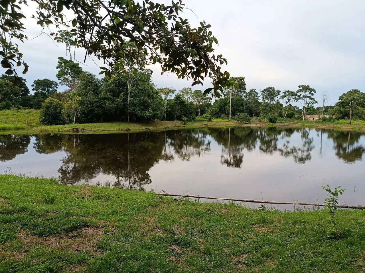 Chácara dentro da cidade vendo  - Foto 2