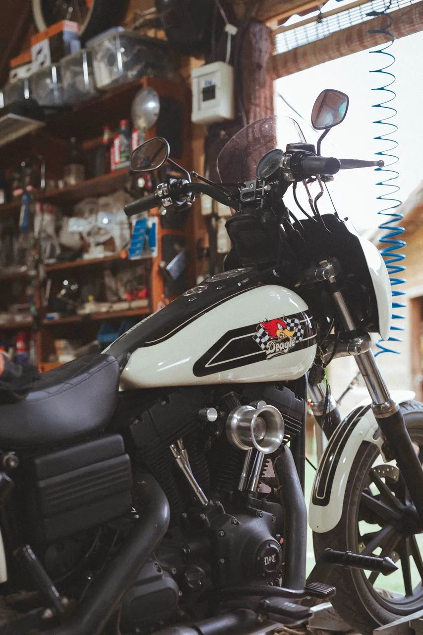 ? HARLEY-DAVIDSON DYNA SUPER GLIDE FXD 2010 ?