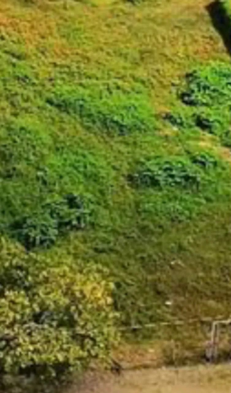 Fazenda Sítio a Venda em Tutoia - MA - Foto 2