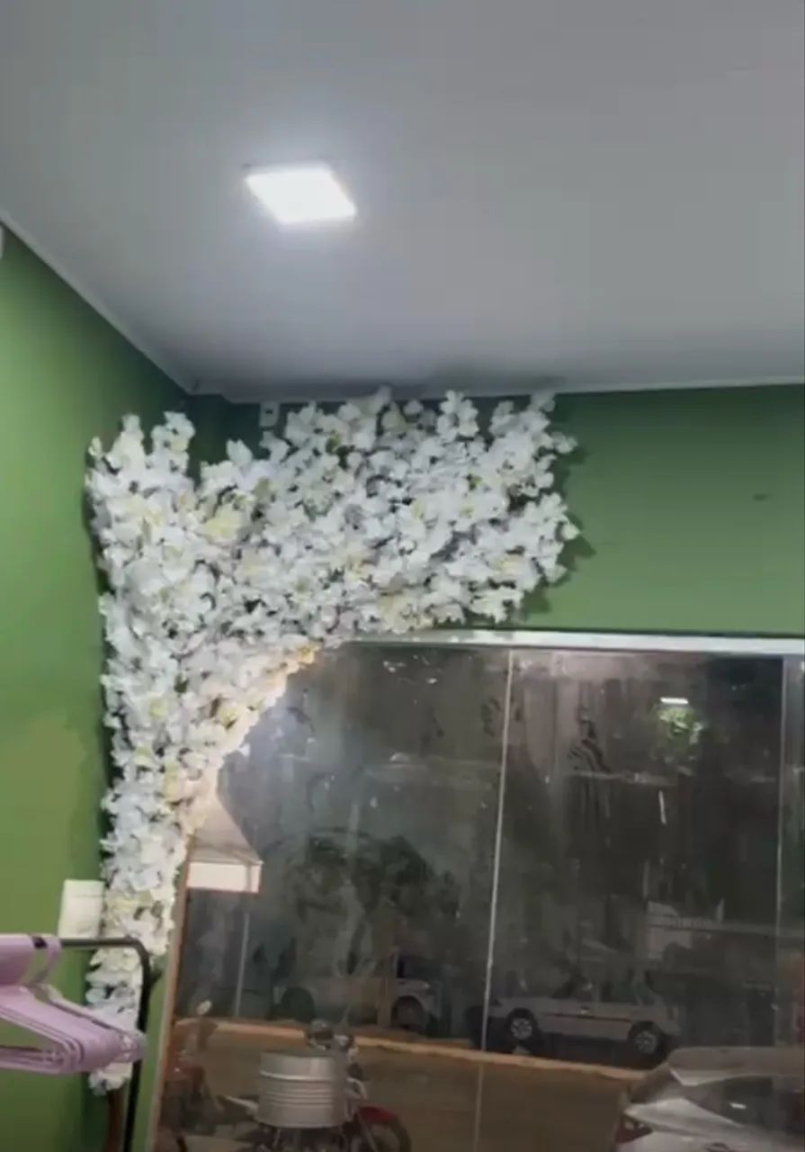 Cerejeira para decoração